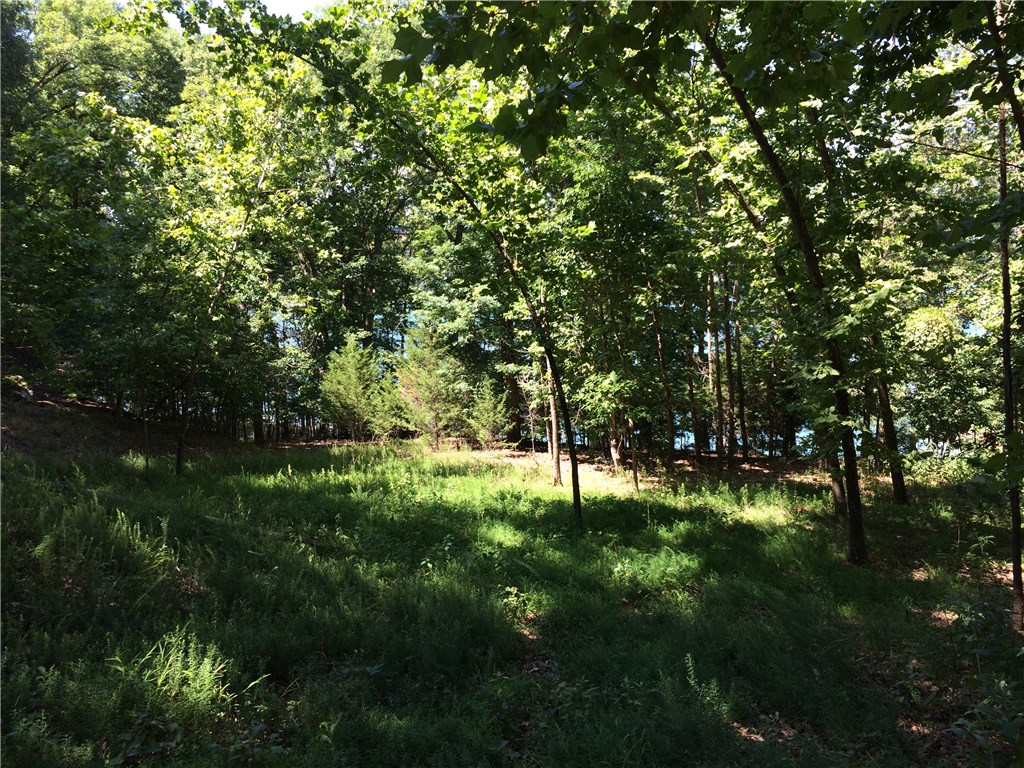 Oak Ridge Park Ph III - Land