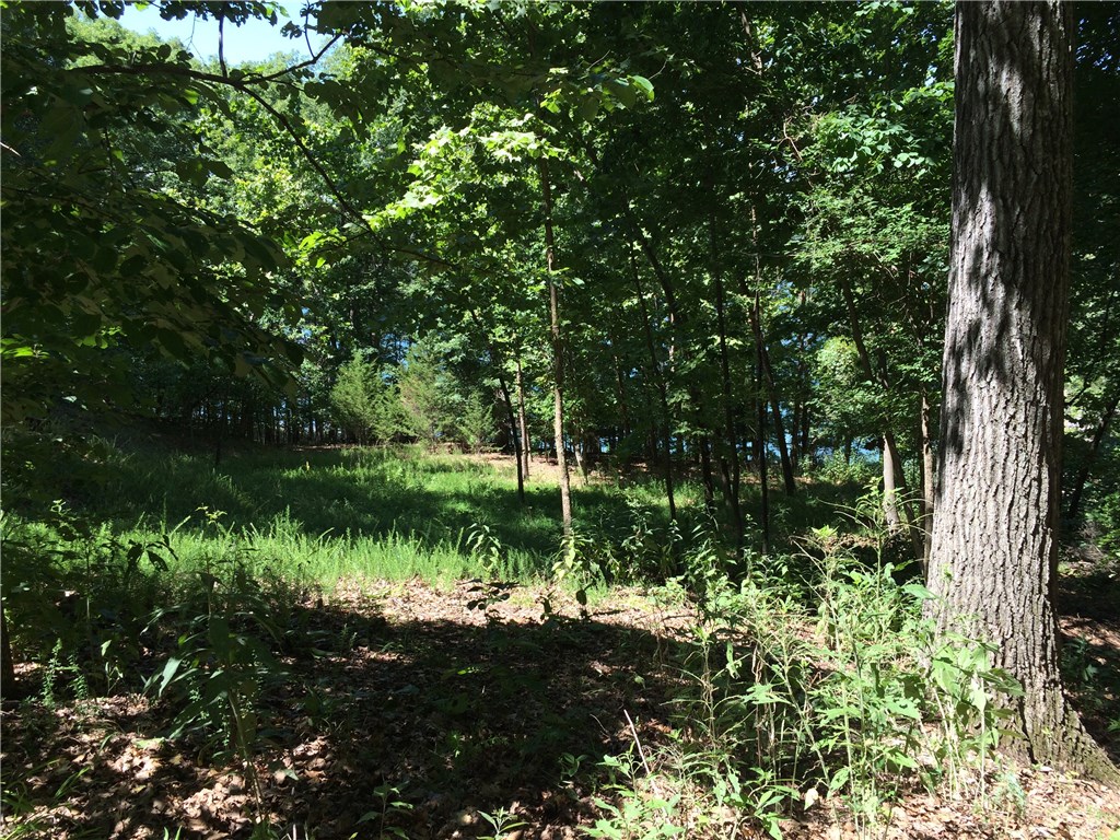 Oak Ridge Park Ph III - Land