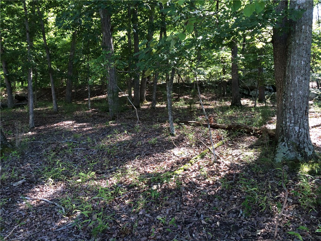 Oak Ridge Park Ph III - Land