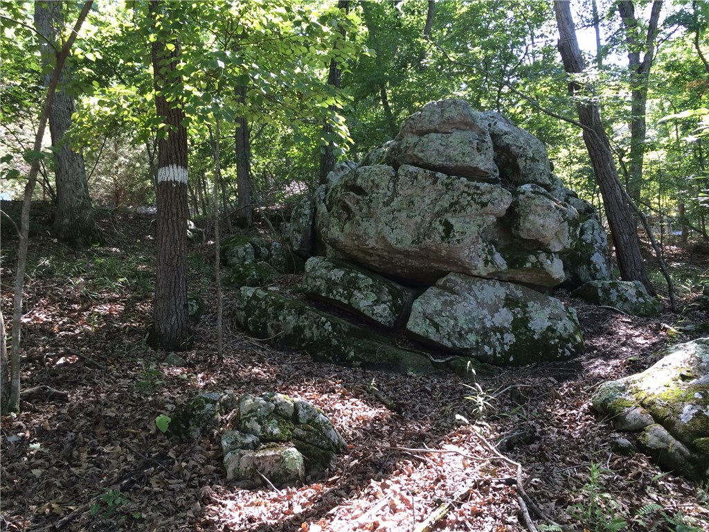 Oak Ridge Park Ph III - Land