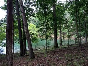 Lake Front, west facing lot with beautiful rock out croppings, gentle walk to the water. Underground electric and phone, community water, boat slip available nearby or possibly even dockable.