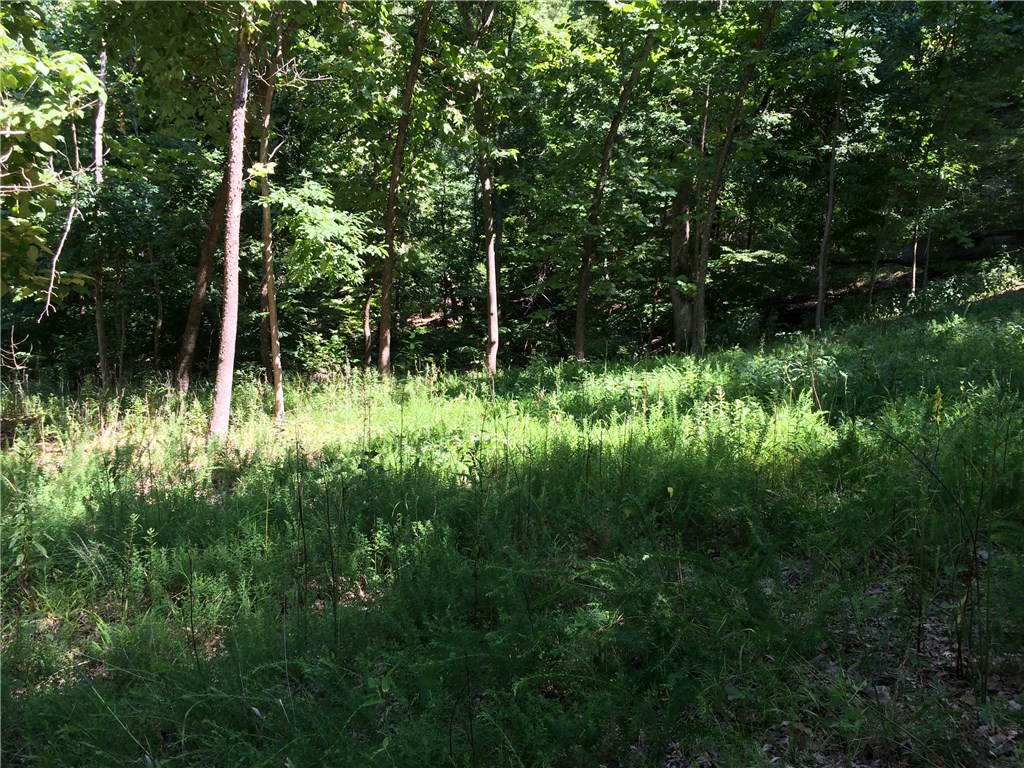Oak Ridge Park Ph III - Land