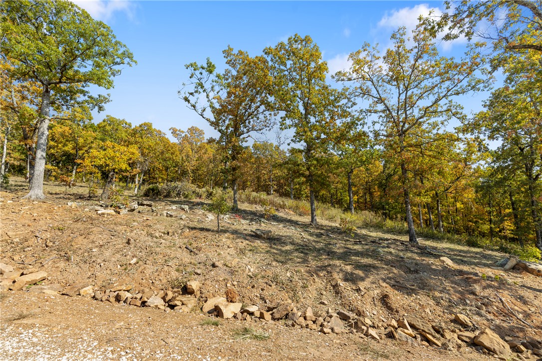Round Mountain Estates - Land