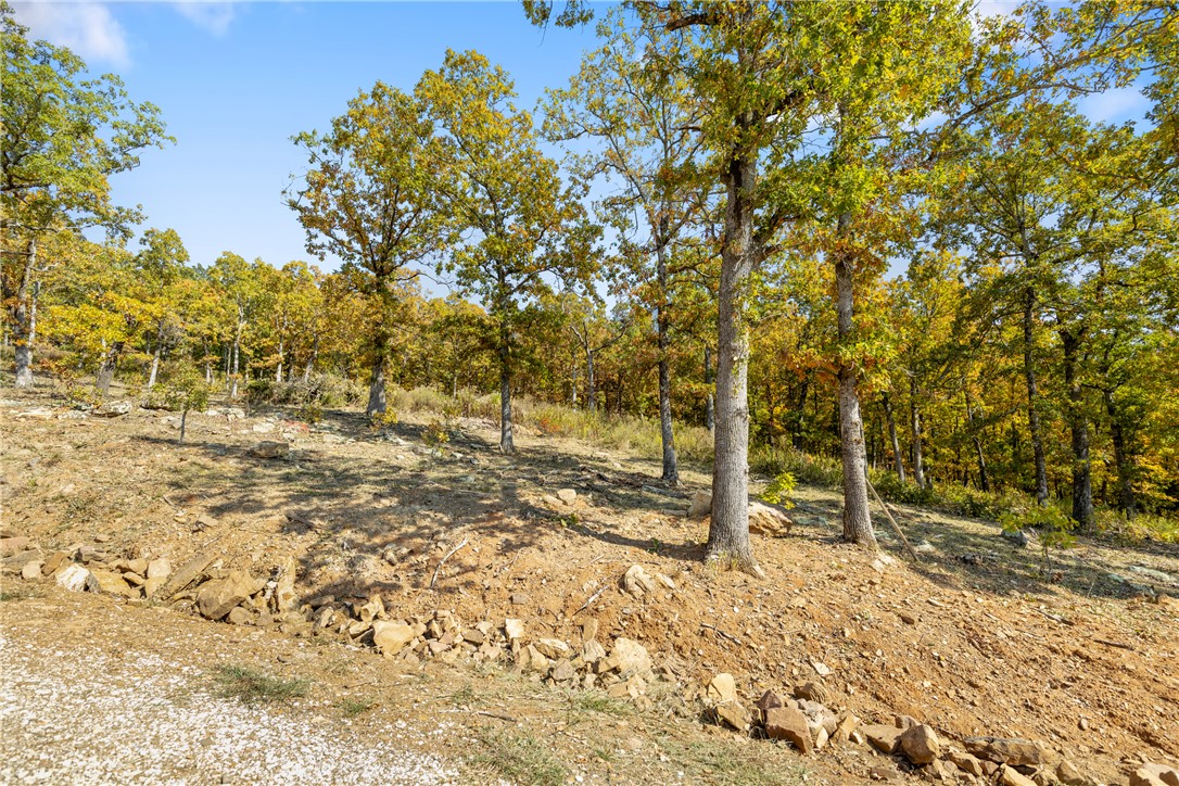 Round Mountain Estates - Land