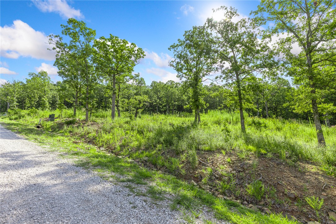Welcome to Lot 15 (1.0 m/l ac) of Round Mountain Estates! This lots lays perfectly with a gentle slope, faces the south/southwest and will have beautiful sunset views over the mountain top to the west!  The groundwork is already done for you!  This lot comes fully equipped with underground utilities already in place, including natural gas, fiber optic internet, electric, public water, and sewer. No waiting, no guesswork, no costly setup—just a smooth, ready-to-build opportunity from day one. RME is the newest subdivision in Harrison, AR. If you’ve been dreaming of trading city lights for star-filled skies, RME delivers. Beyond your homesite, you’ll have access to a 350 acre common area reserved for residents, featuring a stocked fishing pond, Kissing Rock Trail, natural springs, Baby Canyon Trail, striking bluff lines and views that stretch for miles.  *Terrapin Creek Rd will be paved in the future, per county officials.