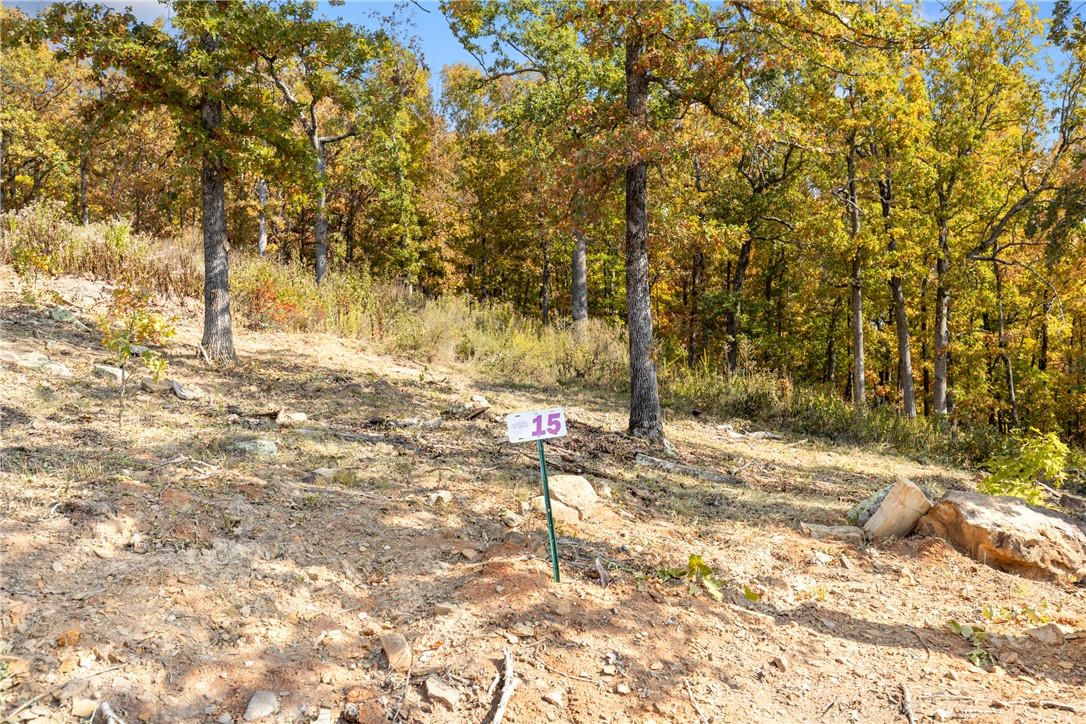 Round Mountain Estates - Land