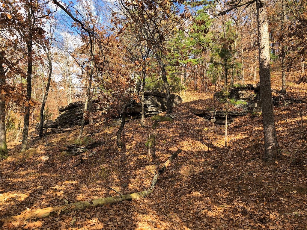 11-19-27 - Land