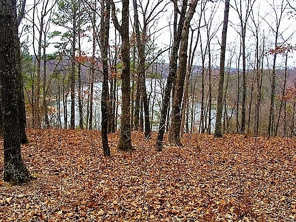 11-19-27 - Land