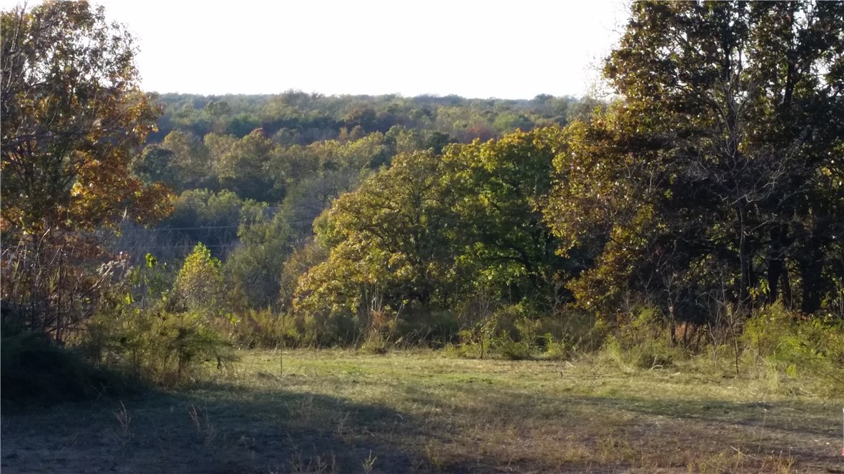Just under 6 acres ready to build your dream home! Beautiful views! Centrally located just off HWY 59 between Decatur and Gravette. Dirt work done for house pad, perc test, and septic design.