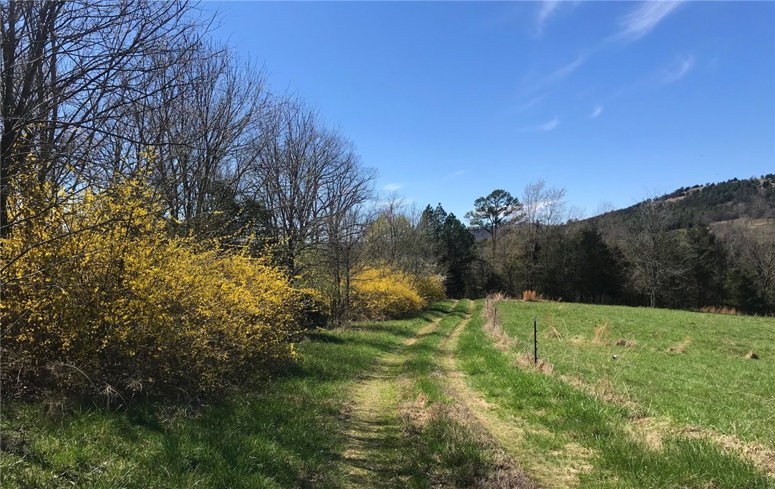 Hills Of Keels Creek - Residential
