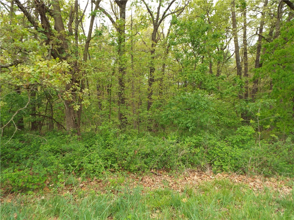 09-20-32 Rural - Land