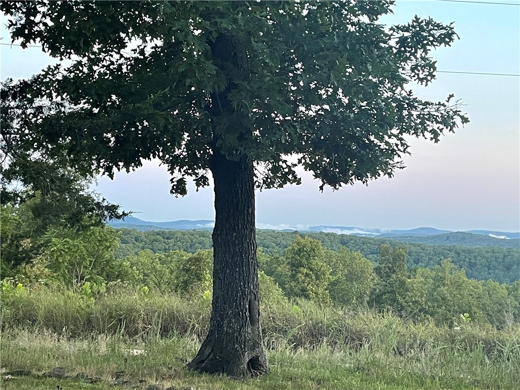 Glen Oaks - Residential