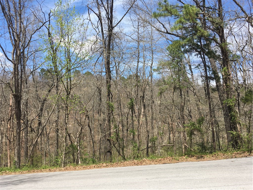 Beautiful scenic lots sit on a ridge with a seasonal view of Lake Rayburn and adjacent to The Back 40 Trail System. Private and serene yet conveniently located.