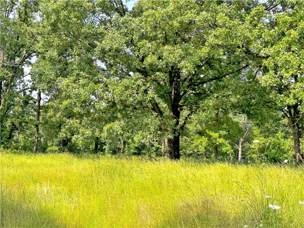 Build your dream home on this private setting with almost 8 acres of beautiful land with lush grass and mature trees. Plenty of trees would surround your home for privacy from the many places you could choose to build on this property. Property is ready for your home, your families home or a small development. Country setting, but close enough to town to get to the grocery store quickly for that last minute dinner ingredient. Horses are right across the street, so you would have these gentle giants to wake up to every morning. Water and electric on-site as well as old septic from previous home that burned down. All remnants of previous home will be removed prior to close.