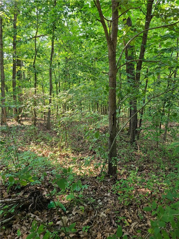 0.68 acres in the Bentonville (Main) School district! This property is just off of a paved road in a developing subdivision. Topography is wooded, level and gently sloped. This is a unique property with direct access to the Tunnel Vision trail system in the POA common area right off the back of the property line! Also, Tweety-bird trailhead, and the down-under trail is 2-3 minutes away. The neighboring parcel of 0.67 acres is also for sale. The potential to own 1.35 acres to turn into a dream-home is very real. The location of the property is also of the upmost convenience: 6 minutes (2.5 miles) to Bella Vista Way, 7 minutes to Allen's Food Market, 8 minutes to Blowing Springs Trail system, and 17 minutes to the Bentonville square! Drive out and see it today. Coordinates are: 36.432263, -94.261037