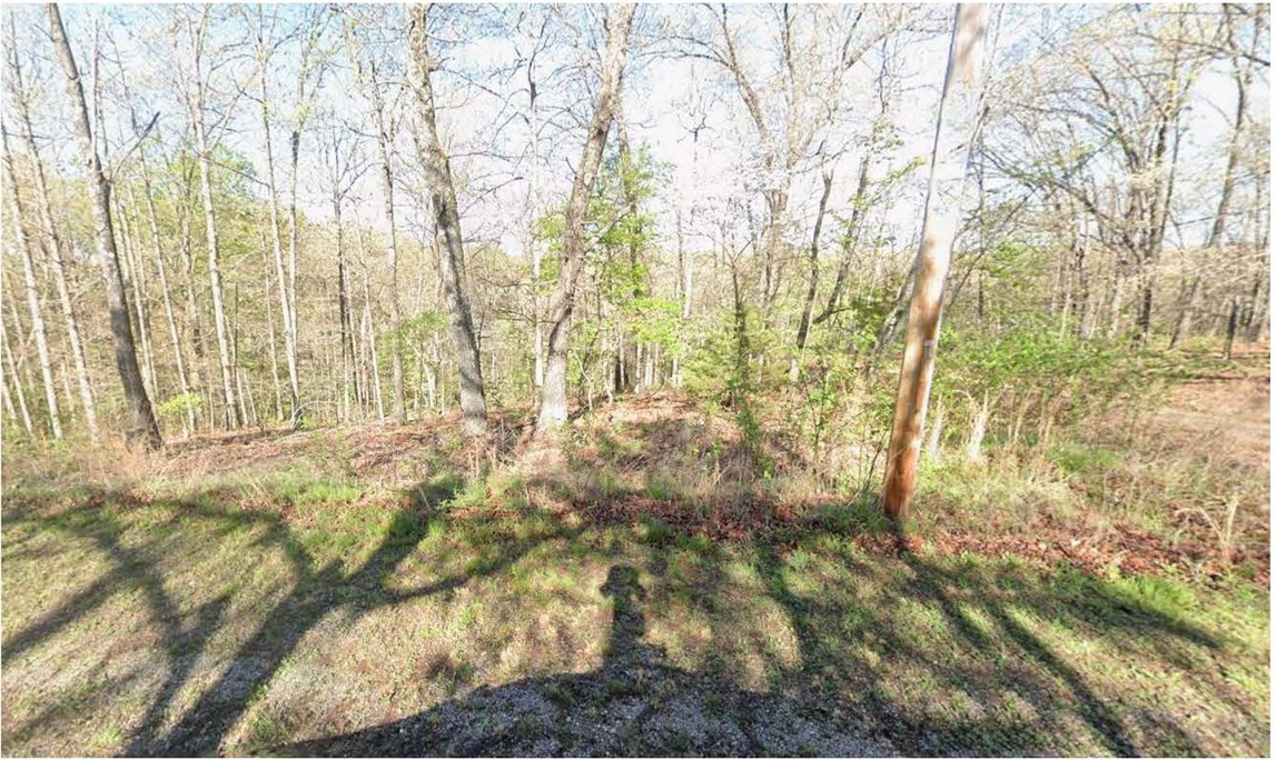 Don’t miss this opportunity to build your dream home in Bella Vista. Enjoy a peaceful, mountain-resort setting while being just minutes from Bentonville’s shopping, dining, and attractions.

As a property owner, you’ll have access to top-tier amenities including parks, golf courses, pools, trails, and lakes. The perfect blend of privacy and convenience—secure your spot in one of Northwest Arkansas’s most desirable communities today.