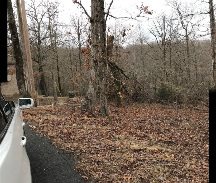 Great gently sloping building lots in an area of nice homes close to golf, lakes and in easy acess to Highway 71. The adjacent lot to the right is to be sold together with this on and is included int this purchase price. this makes an ideal site for your new home!