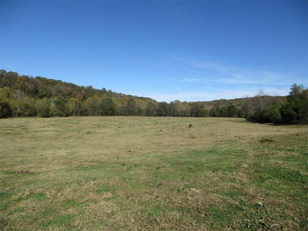 Working farm! 100 acres m/l.  Older 2,112 sq ft house, with newer H/A, rural water, good well.  Fenced garden spot, equipment shed.  Land is mostly cleared, good pasture and hay fields. Two ponds, year around spring, fenced and cross fenced. Large hay barn. Hock Creek runs thru property. Two older chicken houses with no contract.