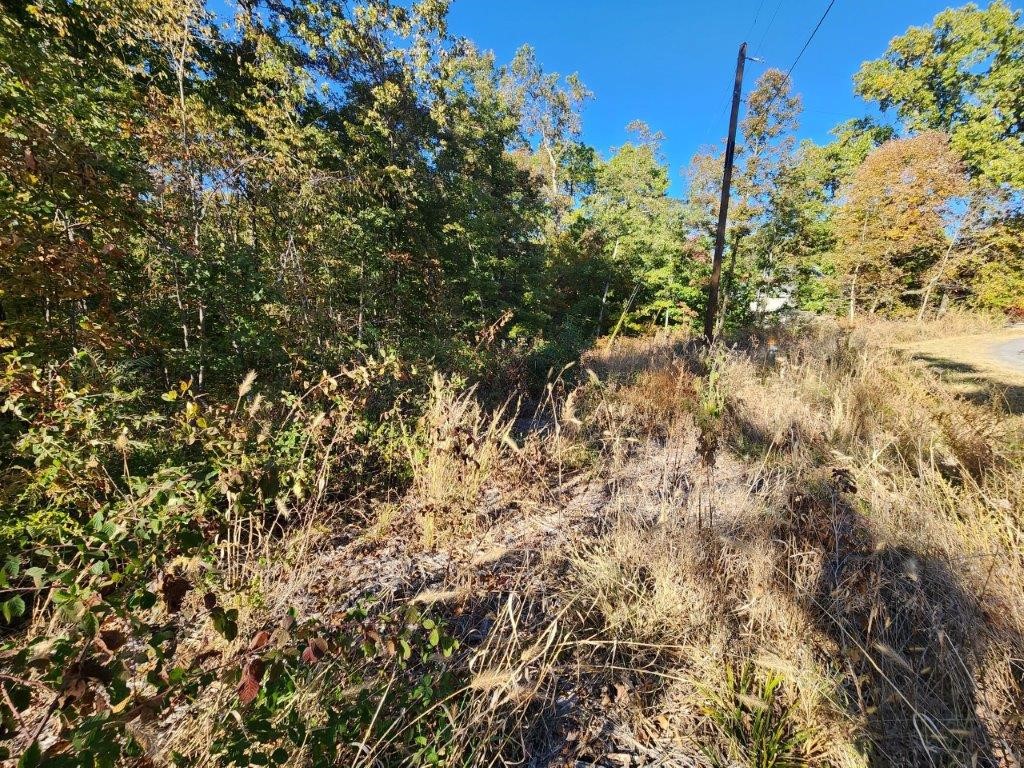 Bankfoot & Kirkpatrick - Land