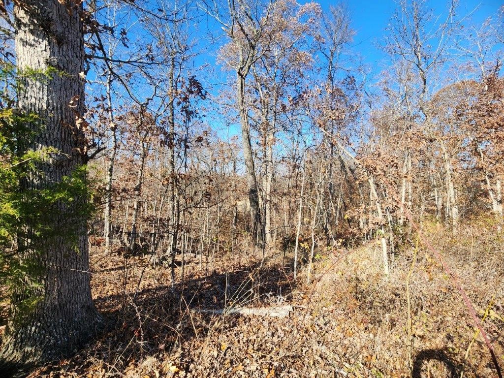 Bankfoot & Kirkpatrick - Land