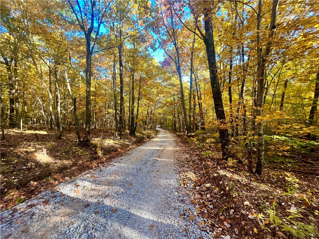 Discover 20 beautiful acres for sale in scenic Newton County, Arkansas. This unique property is bordered on three sides by the Ozark National Forest, offering unmatched privacy and direct access to nature. Ideal for outdoor recreation, your forever home, homesteading, or developing nightly rental cabins, this land is a rare find. Abundant wildlife and excellent hunting opportunities make it a haven for outdoor enthusiasts. The land is unusually level for the area and features two county roads running through it, providing convenient access. Close to the Buffalo National River and centrally located to everything this beautiful area has to offer.