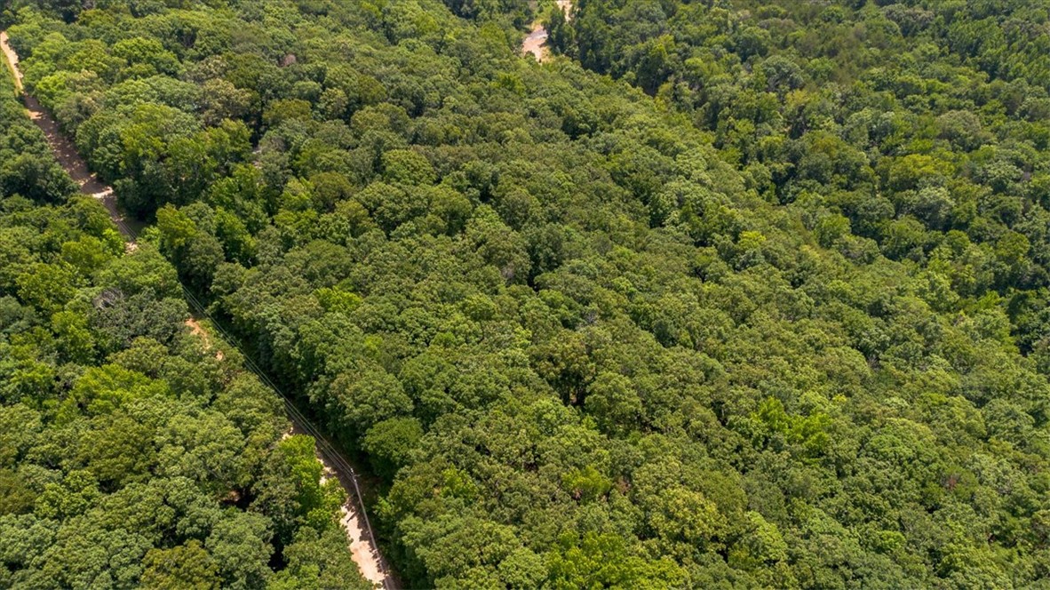 Wilderness Run Ph I - Residential
