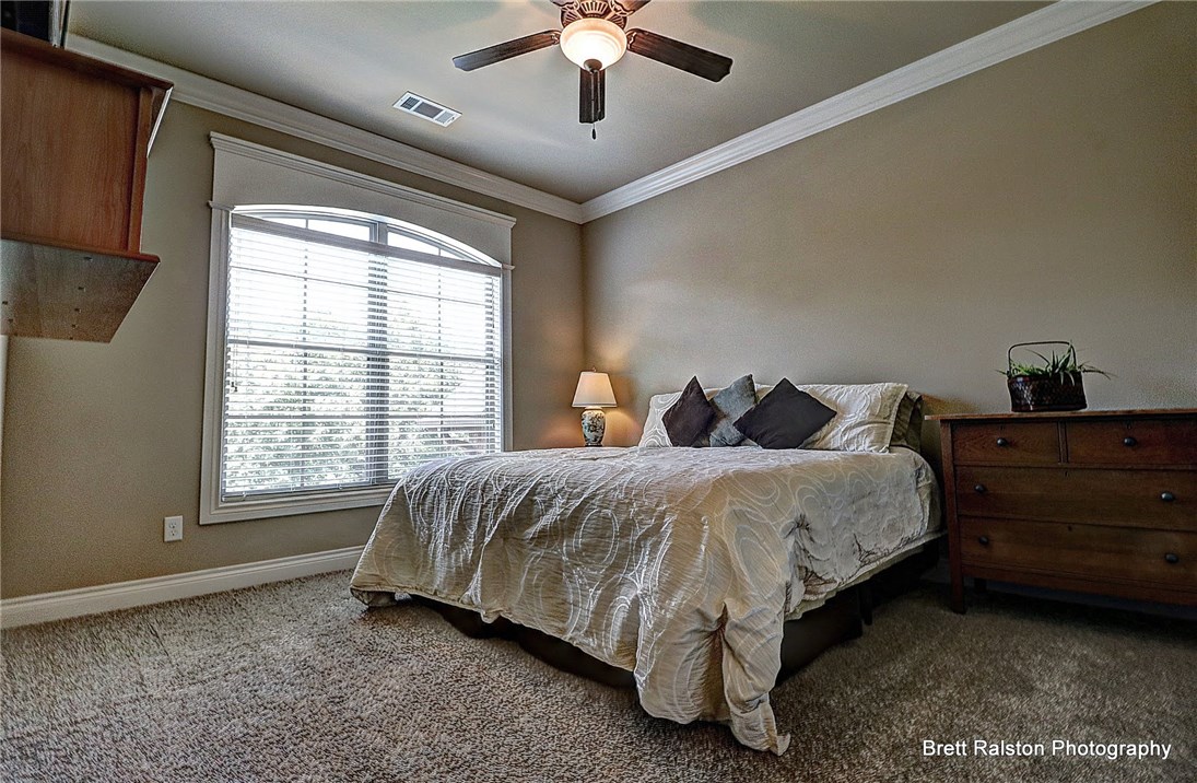 Oak Tree - Residential