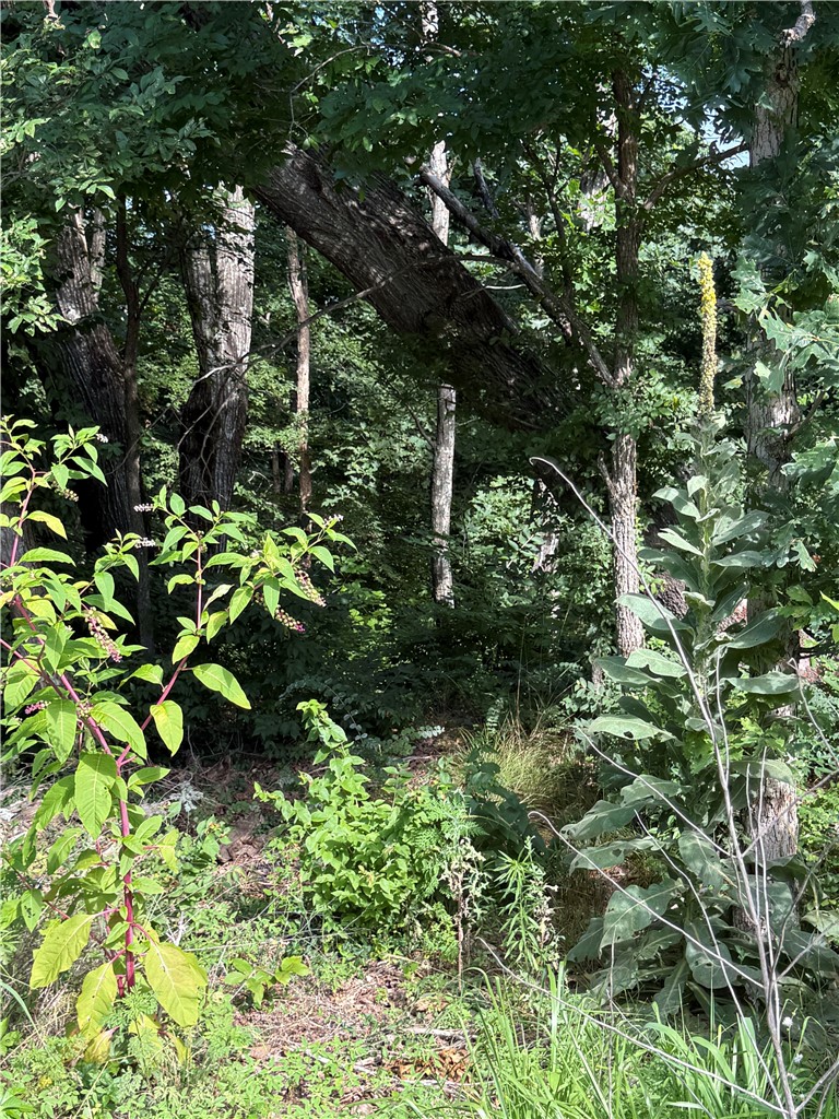 Unit 8 Holiday Island - Land