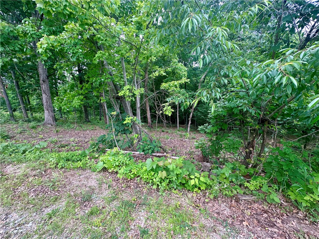 Build your dream home on this beautiful .35 acre lot in Bella Vista! Leyland Drive offers a fantastic location near the highly sought-after Back 40 trail system with easy access to mountain biking, hiking, and outdoor recreation. Enjoy the natural beauty of Northwest Arkansas with nearby trails, golf courses, lakes, waterfalls, and parks. Perc test and survey available under documents. Conveniently located near Bella Vista amenities while still offering a peaceful wooded setting perfect for your future home build.