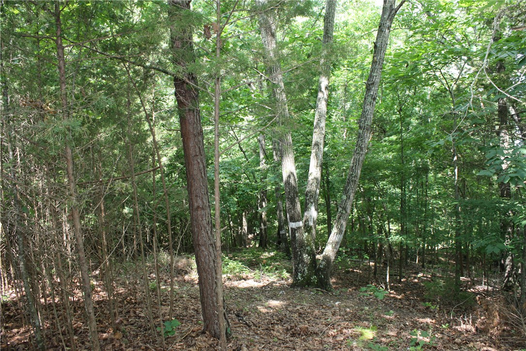 McDonald Meadows - Land
