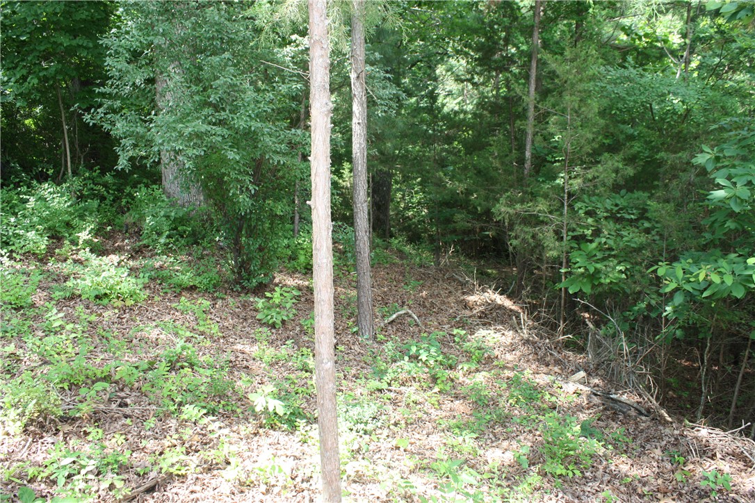 McDonald Meadows - Land