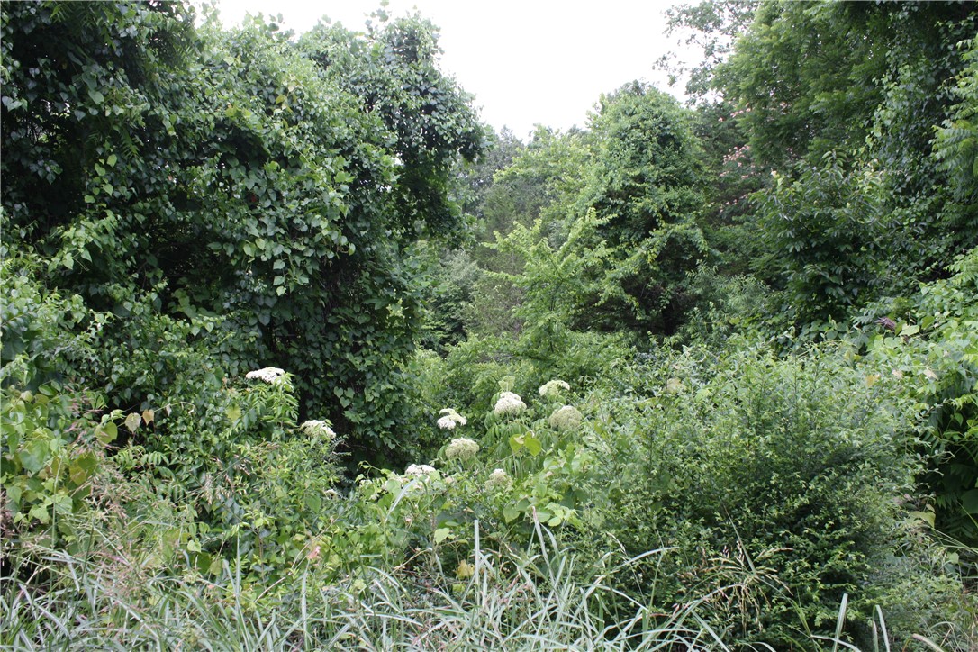McDonald Meadows - Land