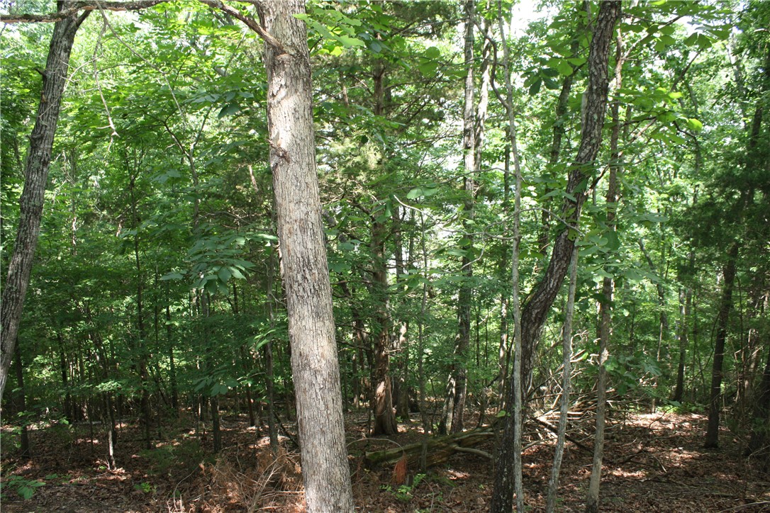 McDonald Meadows - Land