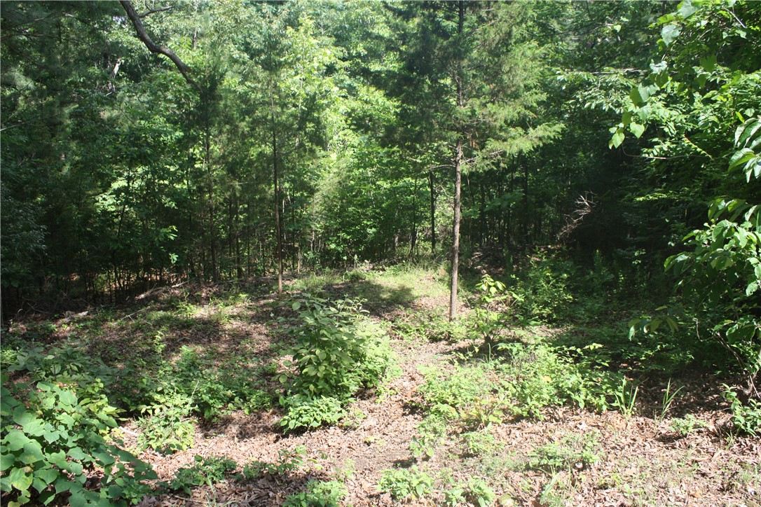 A chance to own affordable lake lots  with Corp of Engineer land bordering on back of property extending to Bull Shoals Lake.  Build your dream home on three lots totaling 2.72 acres with a private pond.  Quiet neighborhood, nice homes, well maintained paved streets, several boat launches.  Just minutes from downtown Bull Shoals.  White River boat launch at Bull Shoals White River State Park is 6 miles.  Mountain Home is located 18 miles with every amenity you will need.