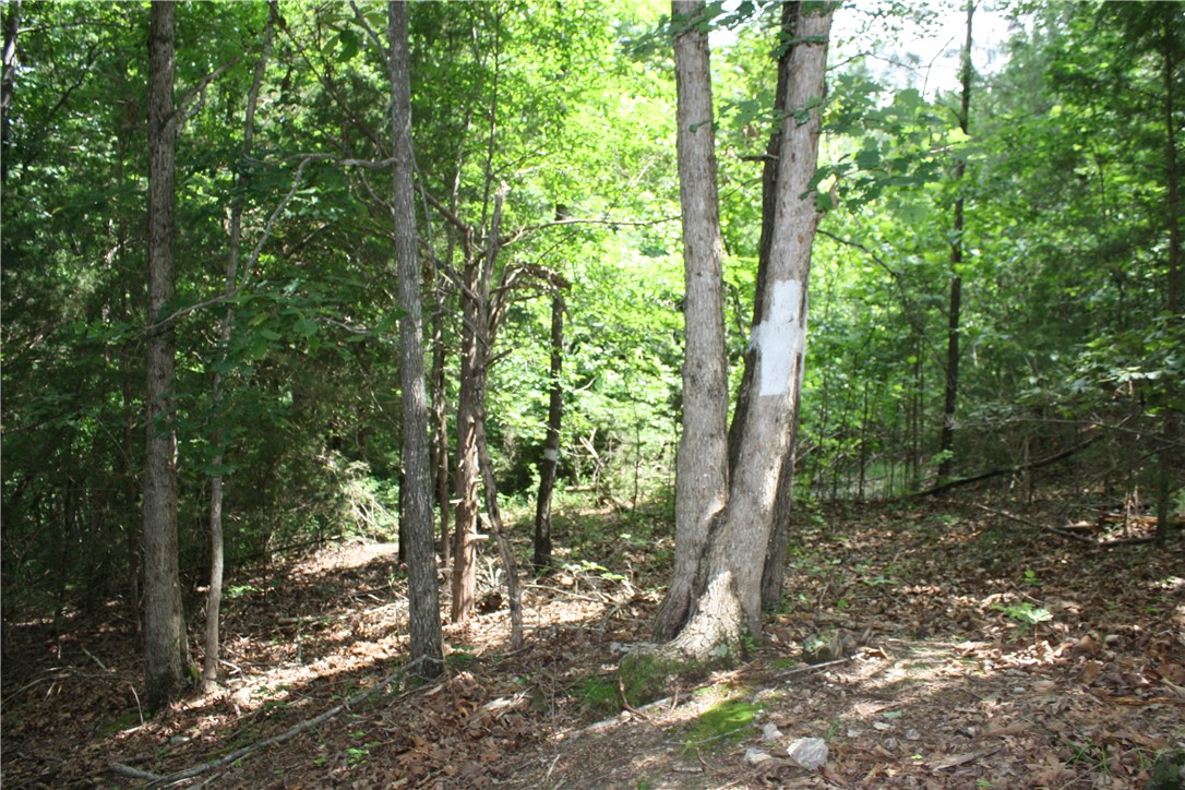 McDonald Meadows - Land