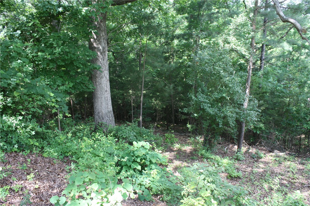 McDonald Meadows - Land
