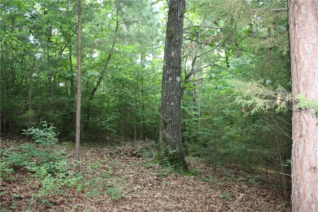 McDonald Meadows - Land