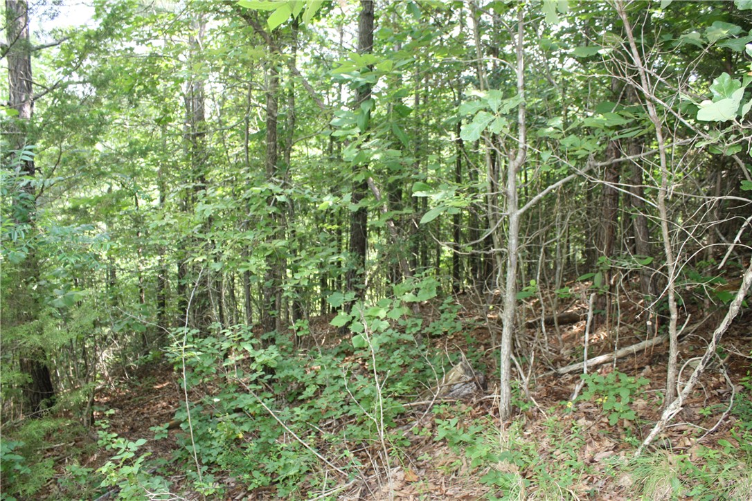 McDonald Meadows - Land