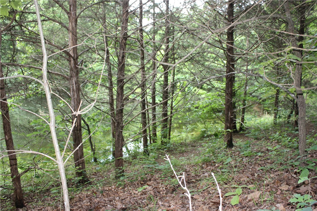 McDonald Meadows - Land