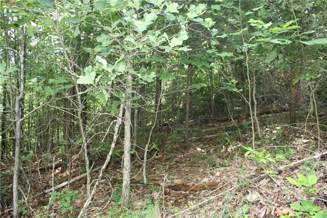 McDonald Meadows - Land