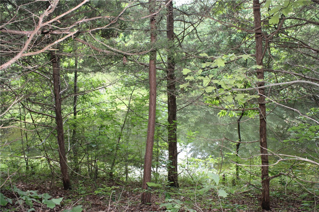 McDonald Meadows - Land