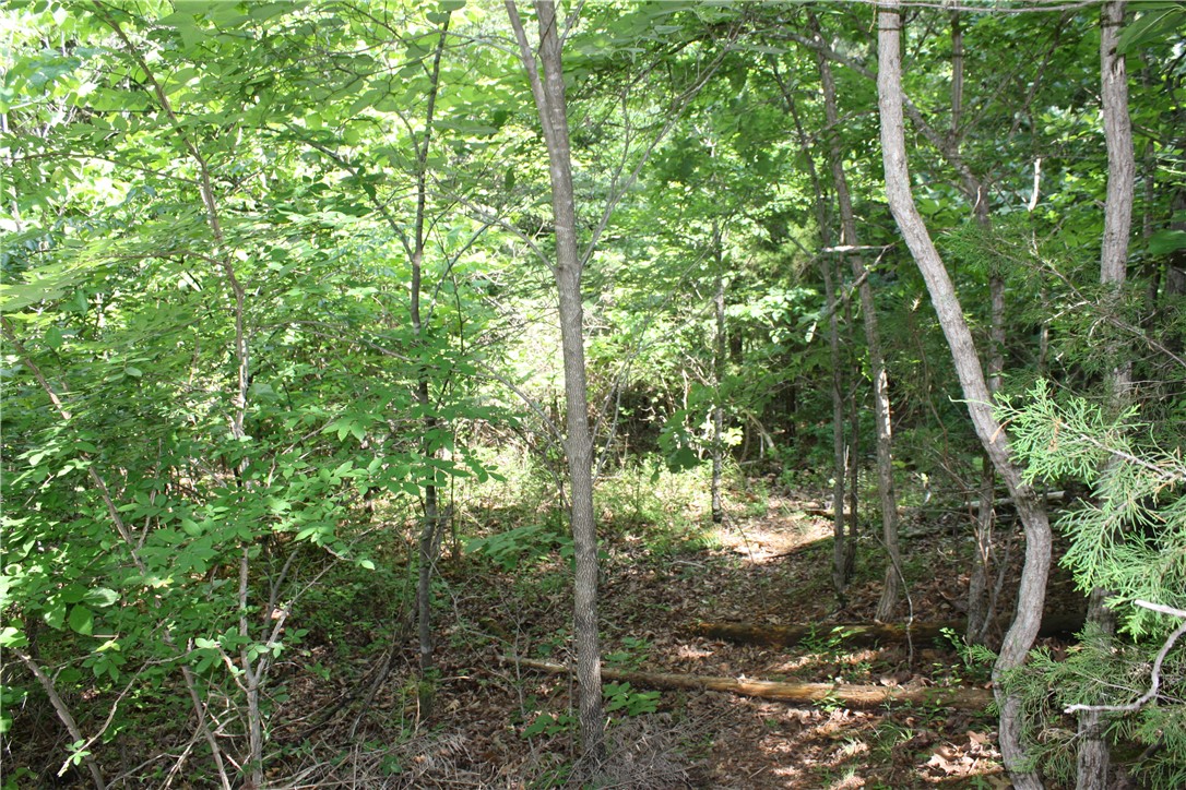 McDonald Meadows - Land