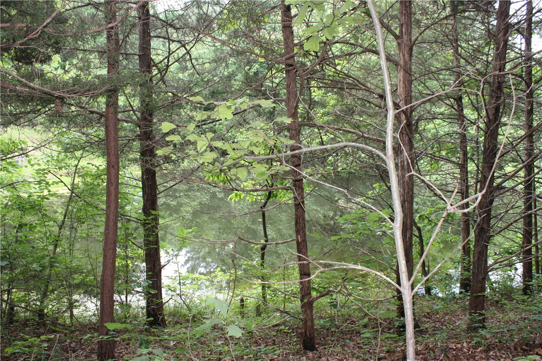 McDonald Meadows - Land