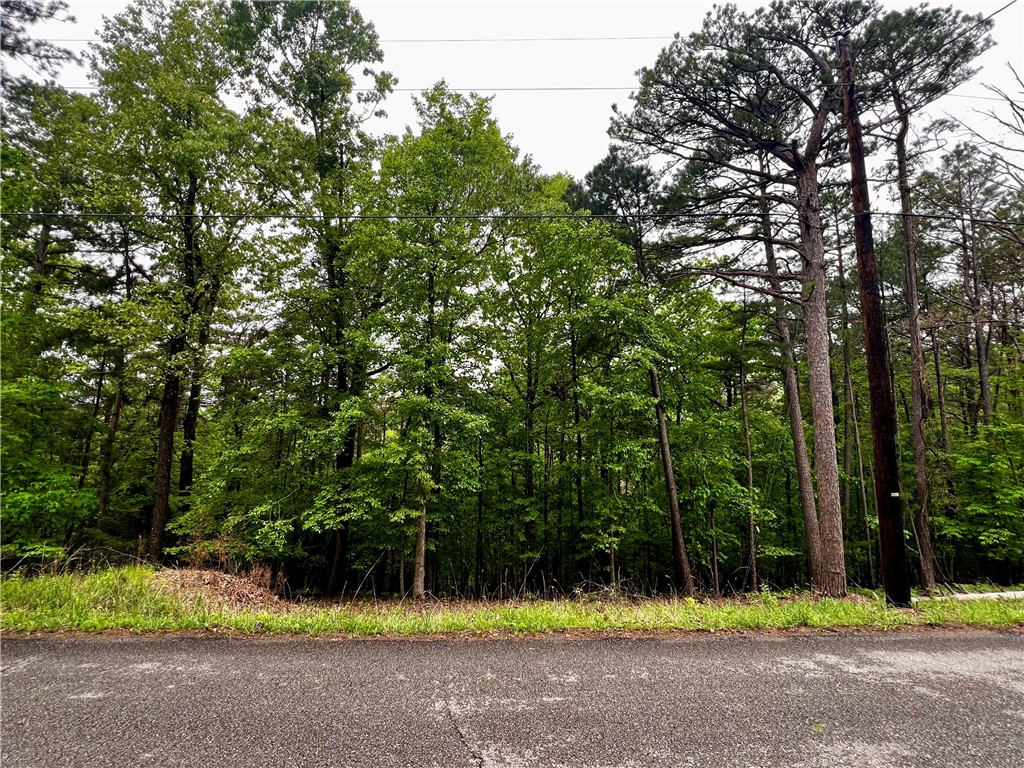 Beaver Shores Unit 5 Rurban - Land