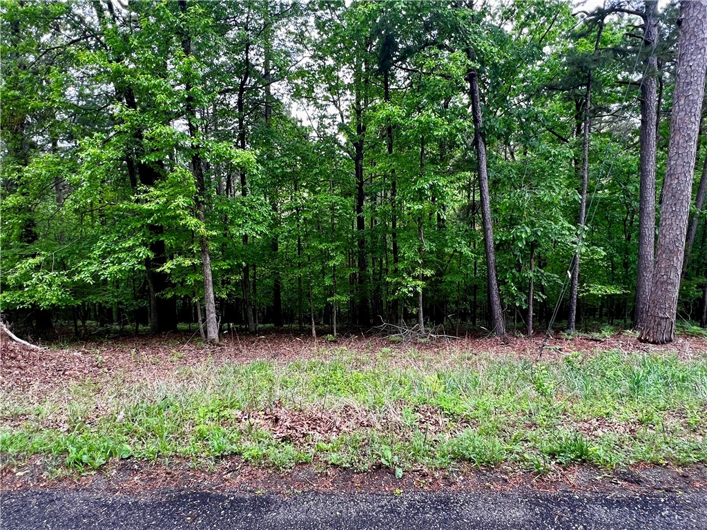 Beaver Shores Unit 5 Rurban - Land