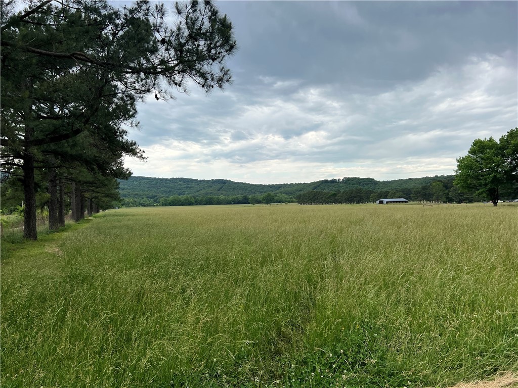Beautiful Fenced Pasture Land with 40'x80' Hay Barn