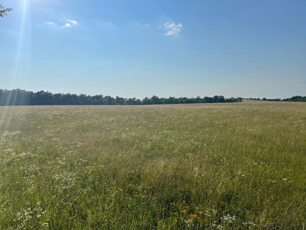 None - Land