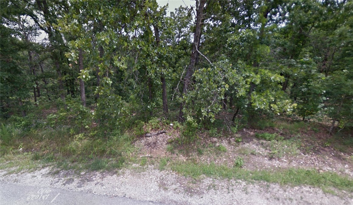 Nice neighborhood lot close to Lake Brittany, the new fire station, Metfield park and golfing facility, swimming, tennis.  This lot has access to city sewer -- very rare in Bella Vista - so you can leave some trees on the lot when you build.  New homes and lakefront homes around. Easy access in/out of city.