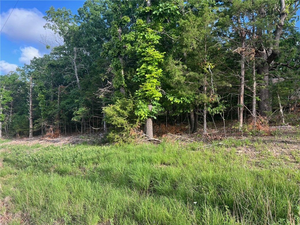 Two great corner building lots across from each other in Diamond City. Tucked down in a quiet subdivision, this would be a perfect place to build that lake cabin (1000 SF min build restriction) This property is located in a quiet lake side community that is just 30 minutes from Harrison and about 45 minutes from the bright lights of Branson.