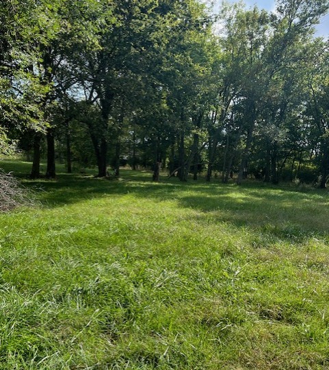 PRAIRIE GROVE OUTLOTS - Land